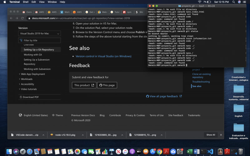 Screen Shot 2020-10-17 at 12.15.36 PM