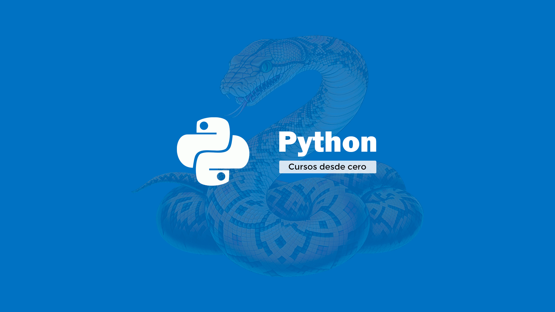 Curso Python Desde Cero Variables Y Tipos De Datos Yo 8383